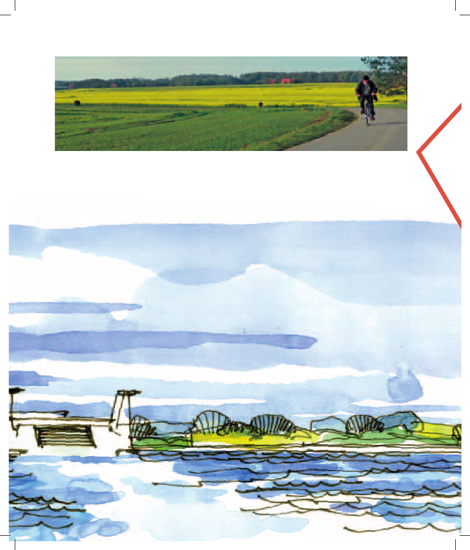 720491_0013.png