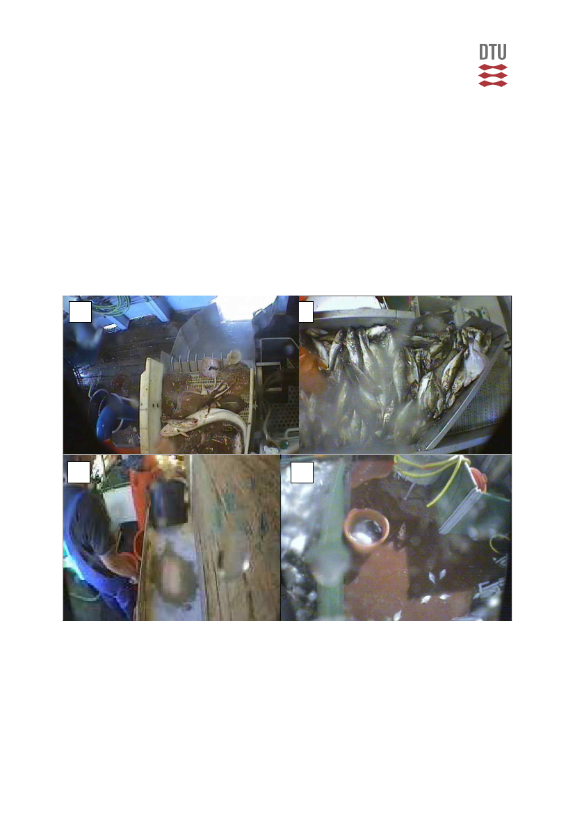 727184_0034.png