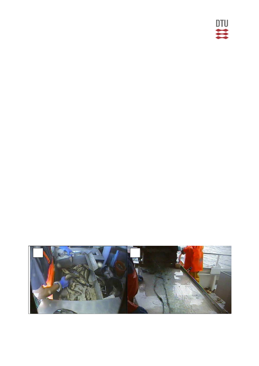 727184_0035.png
