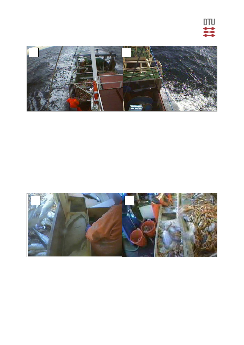 727184_0036.png