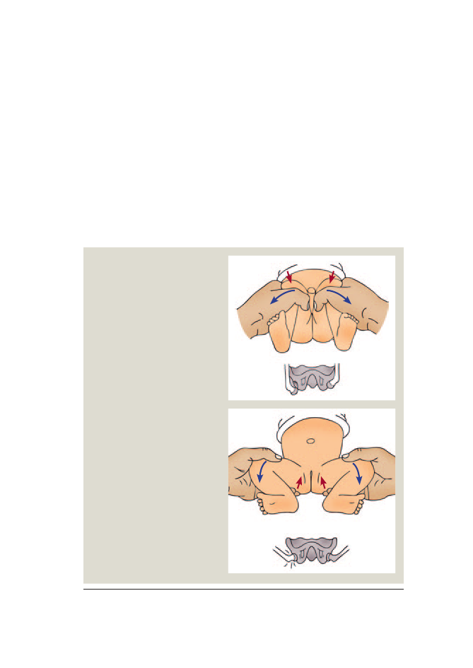 727249_0223.png