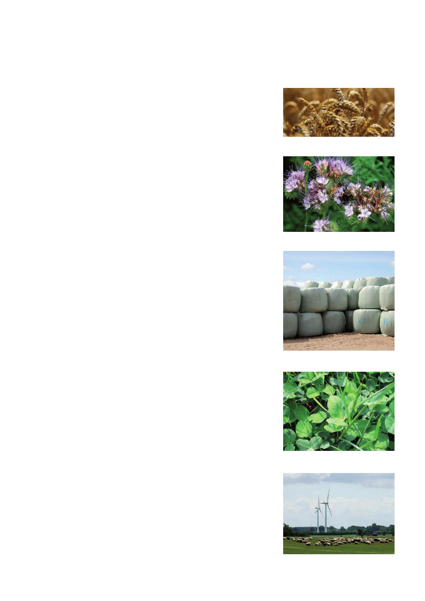 748719_0007.png