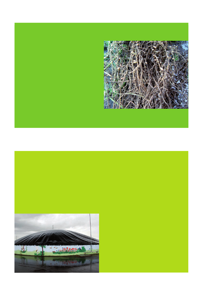 748719_0010.png
