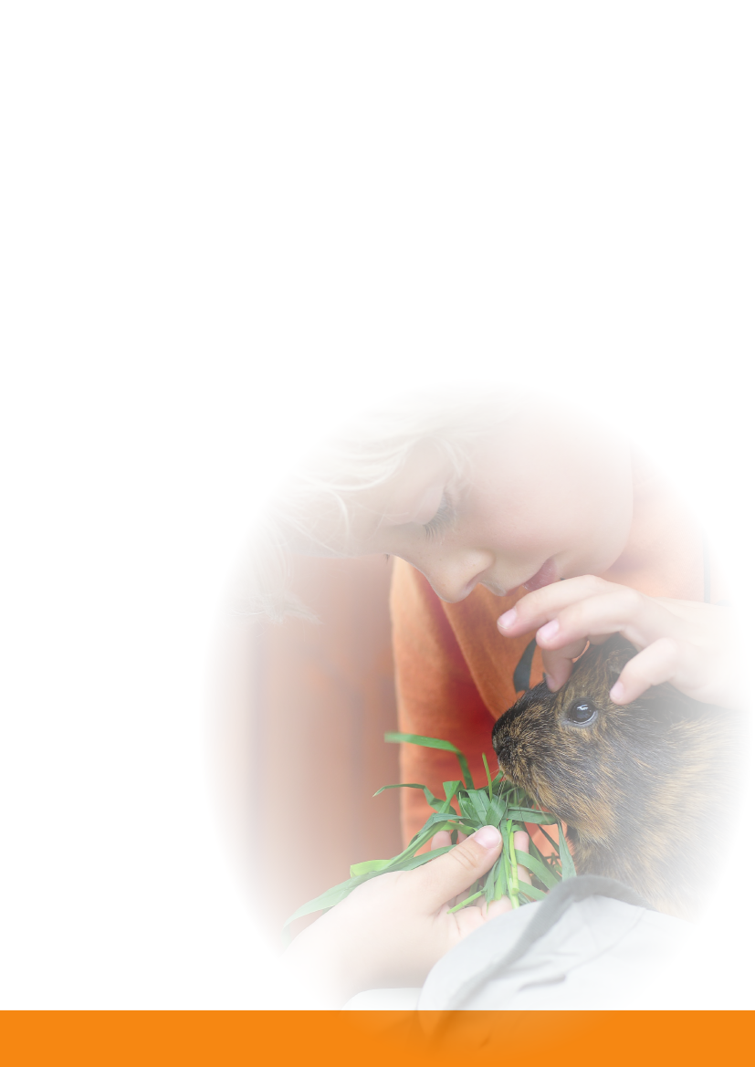 779341_0002.png