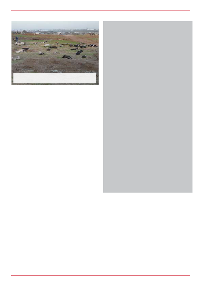 781946_0010.png