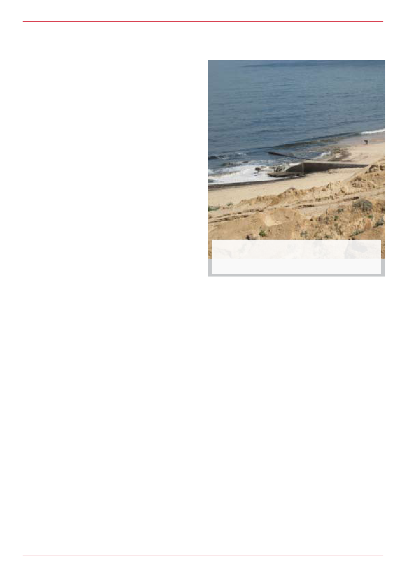 781946_0012.png