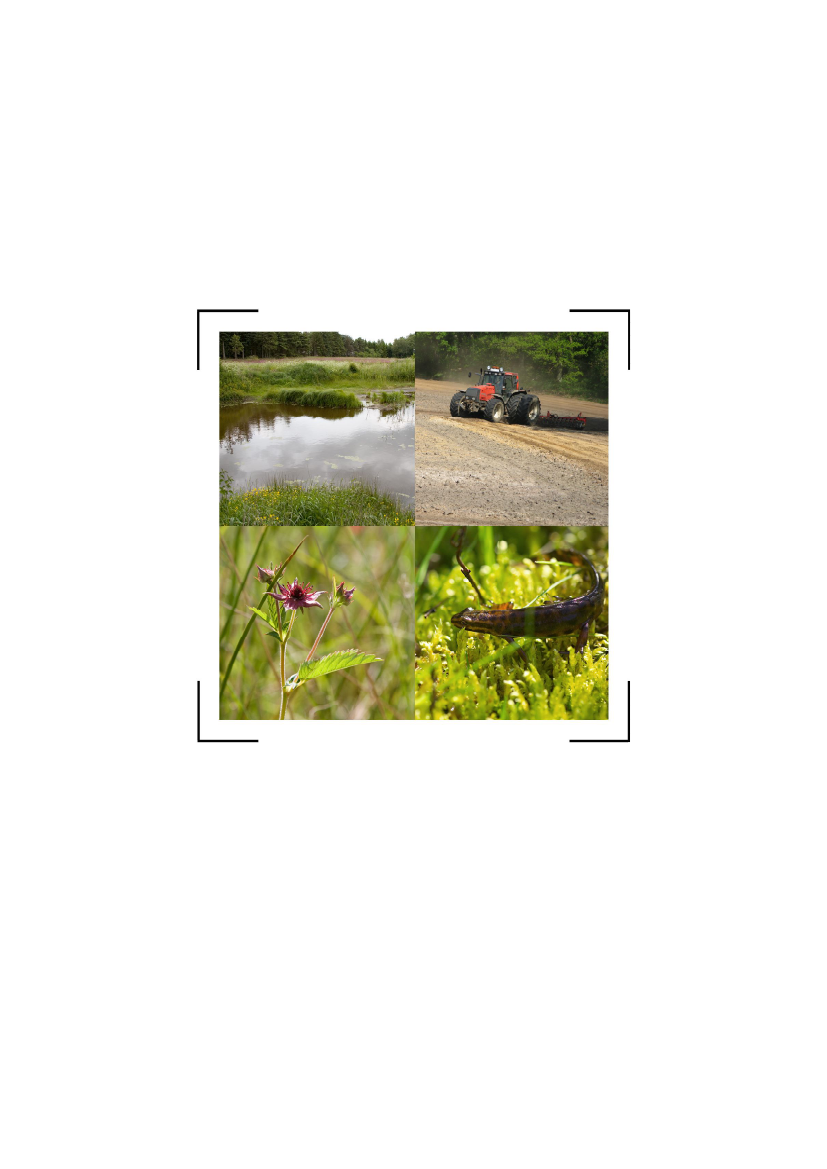 783384_0001.png