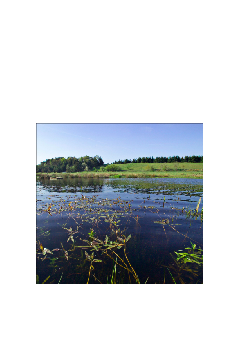 783384_0003.png