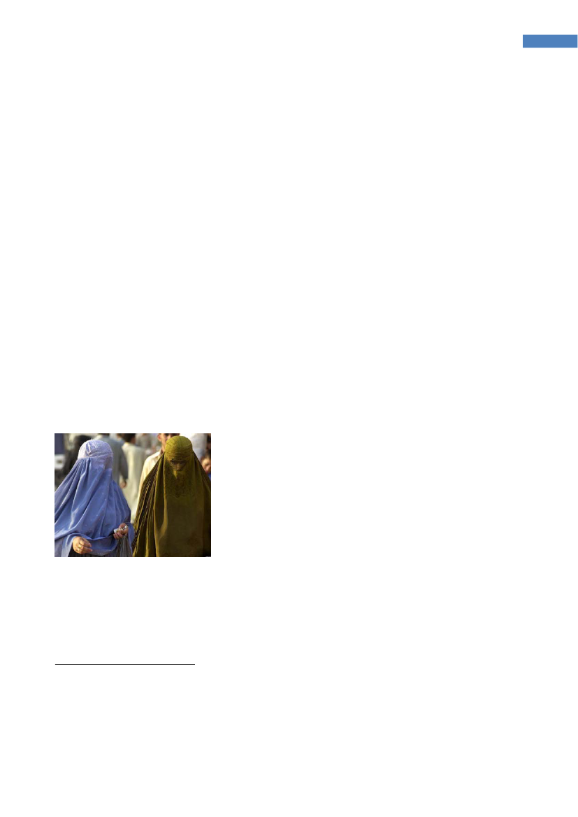 785685_0050.png