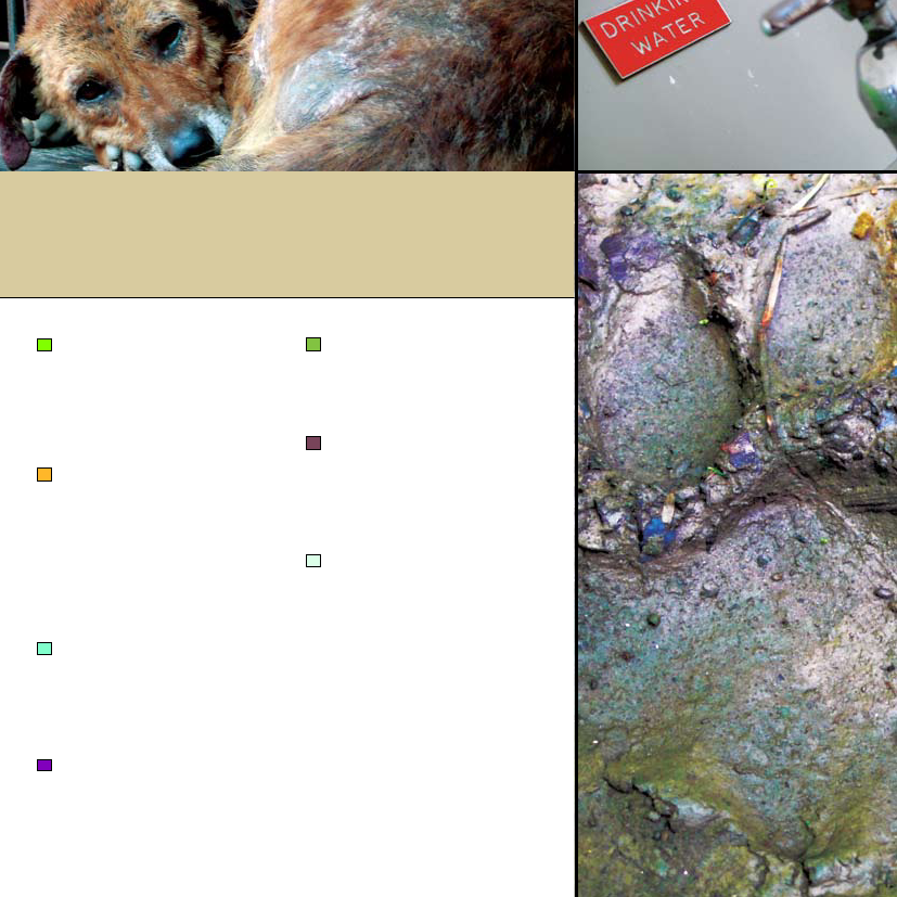793473_0030.png