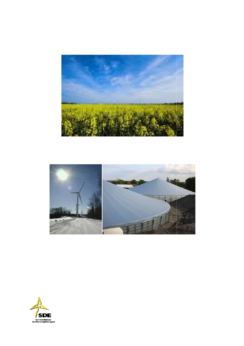 847147_0001.png
