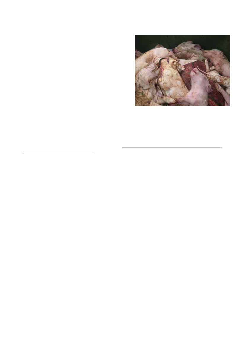 860380_0002.png