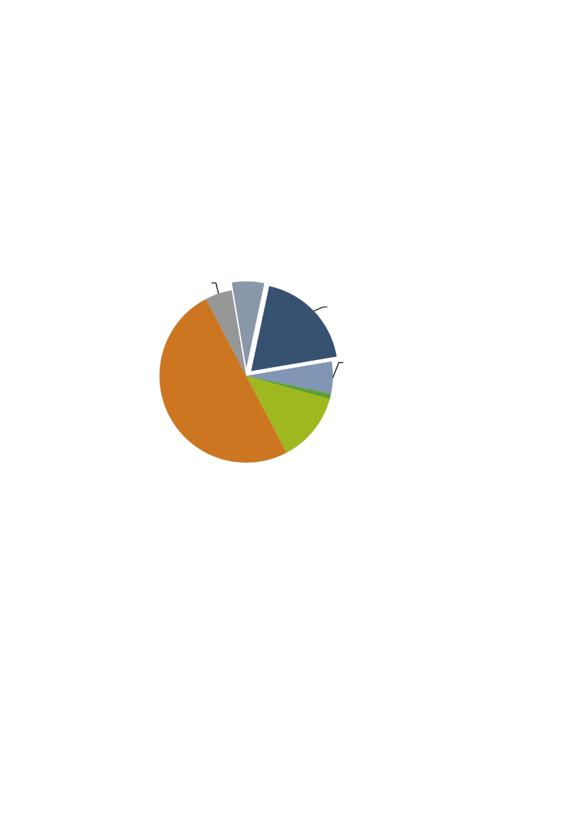 897445_0036.png