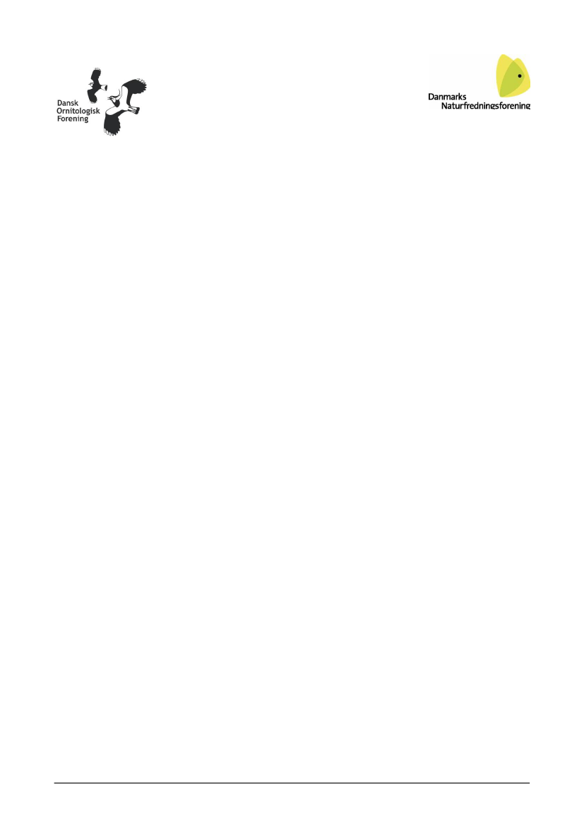 904949_0001.png