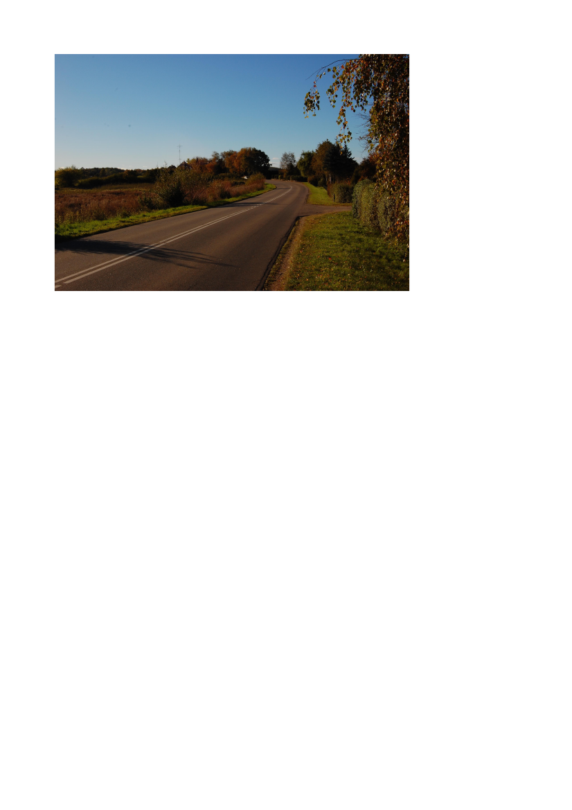 905285_0005.png