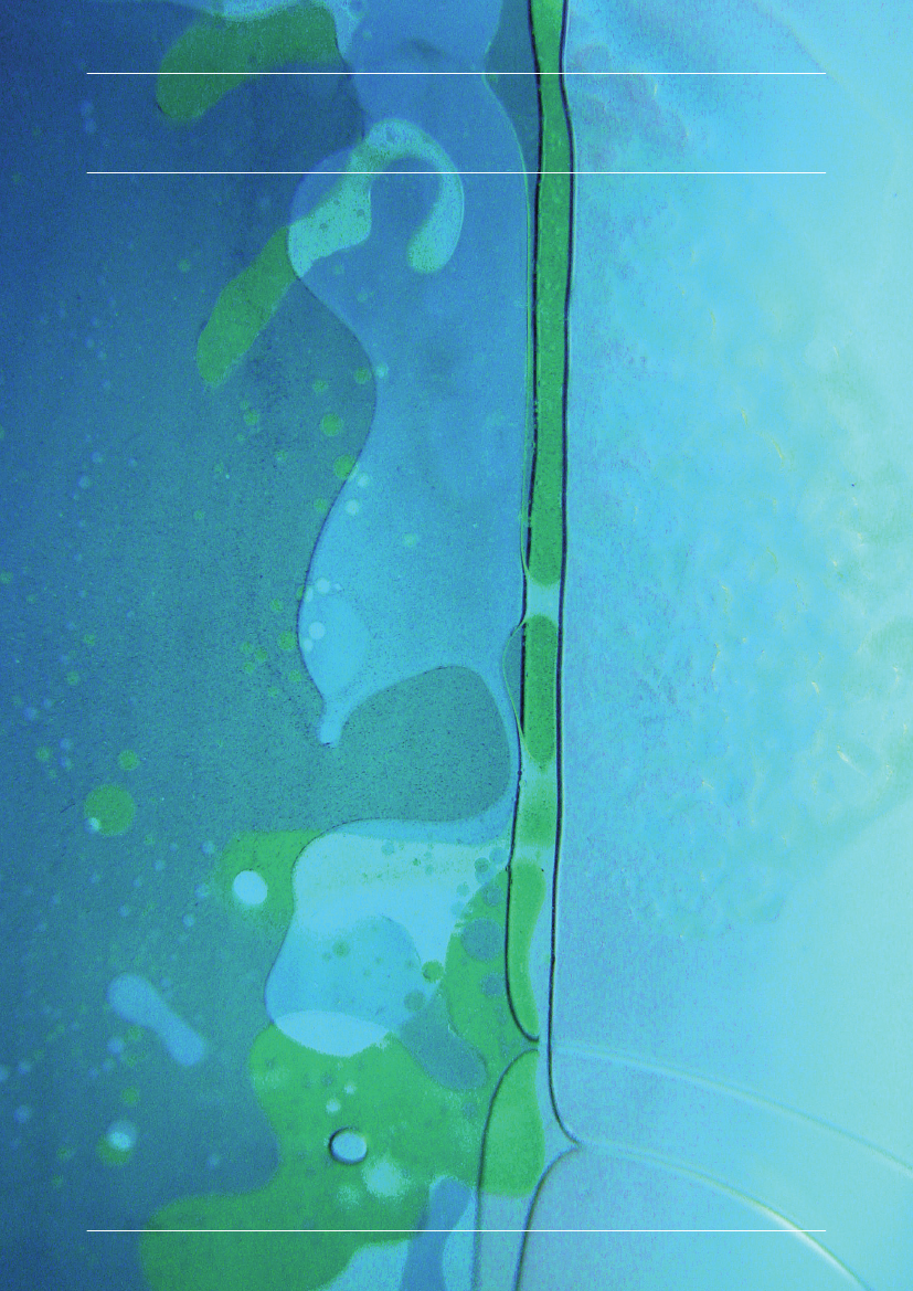936585_0012.png