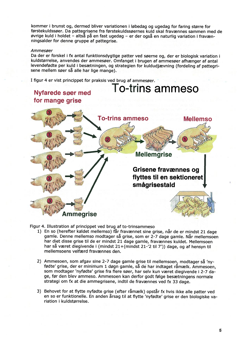940118_0213.png
