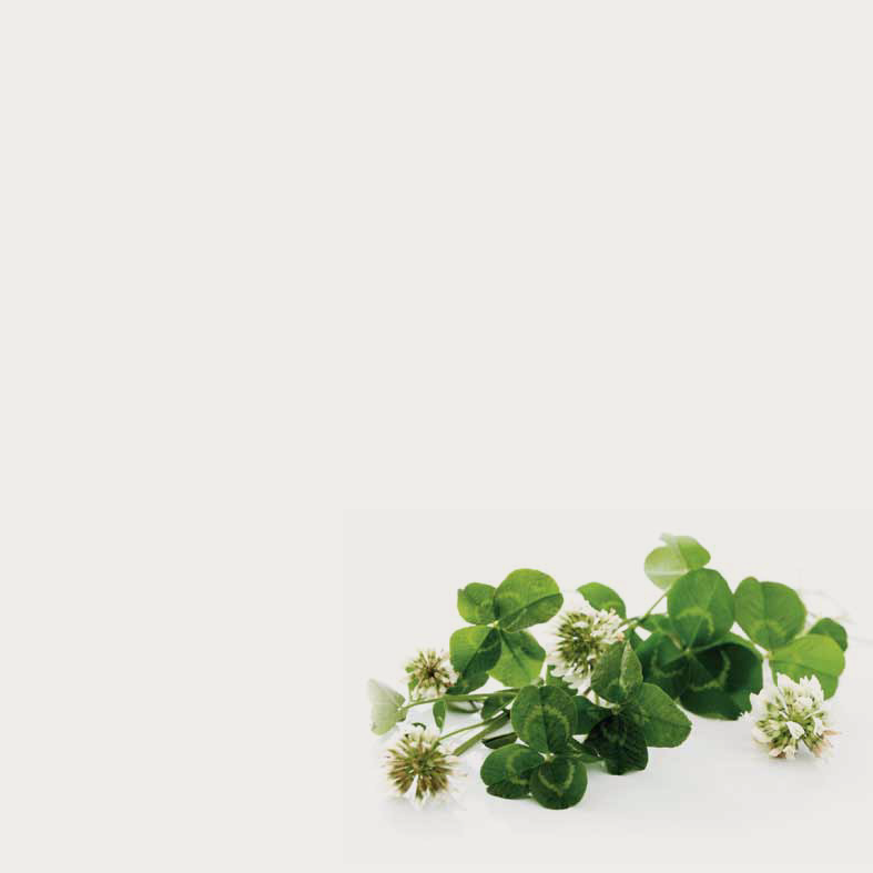 943367_0004.png