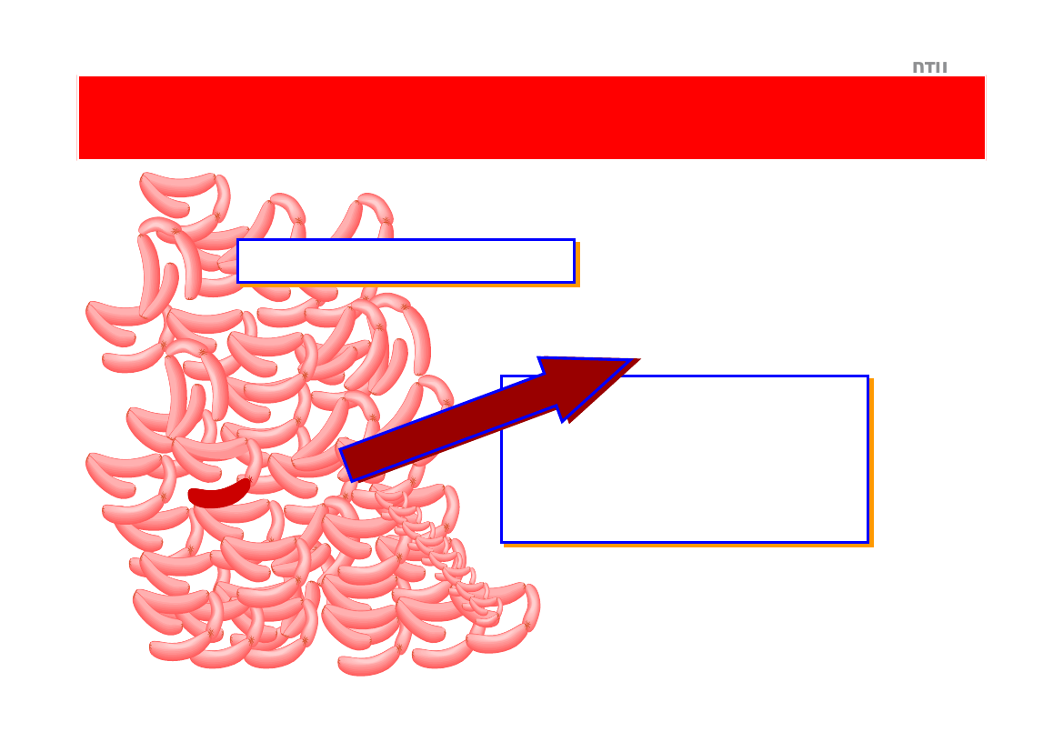 955814_0006.png