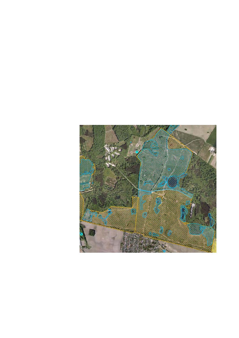 964233_0017.png