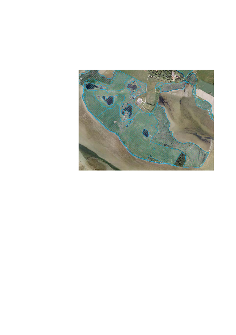964233_0018.png