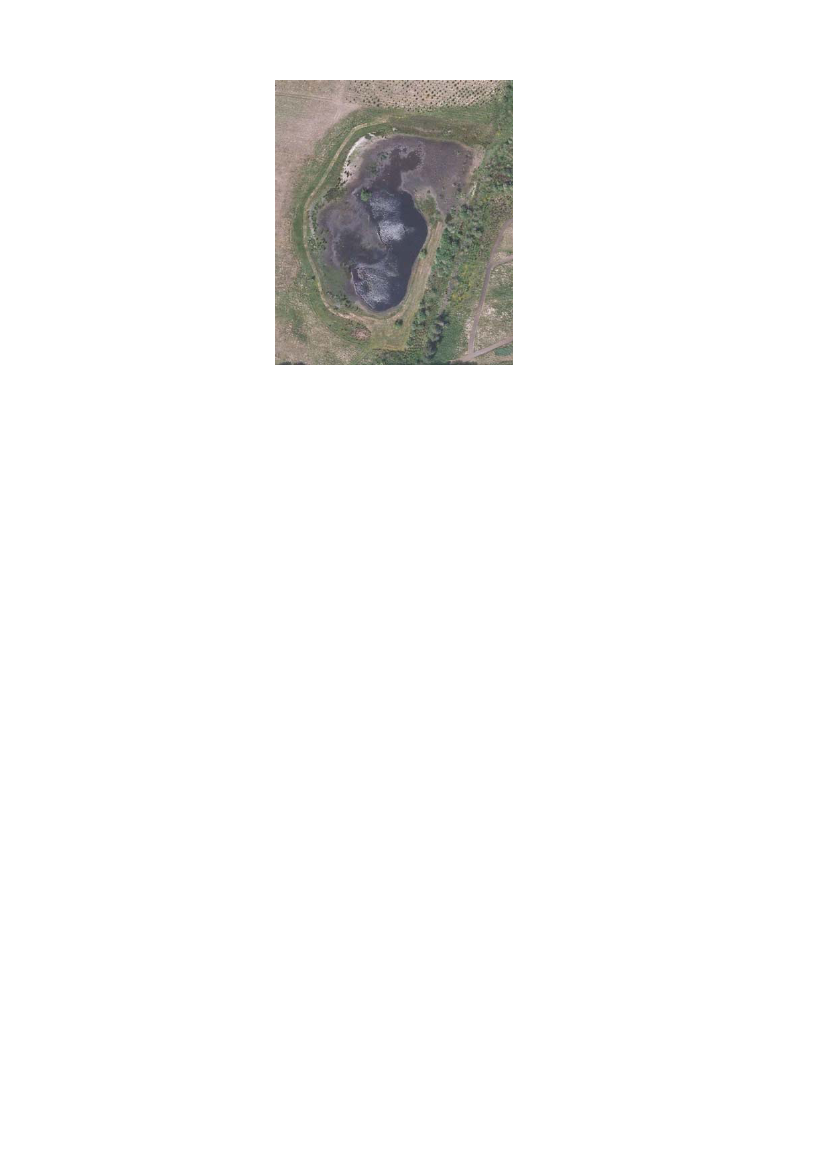 964233_0019.png