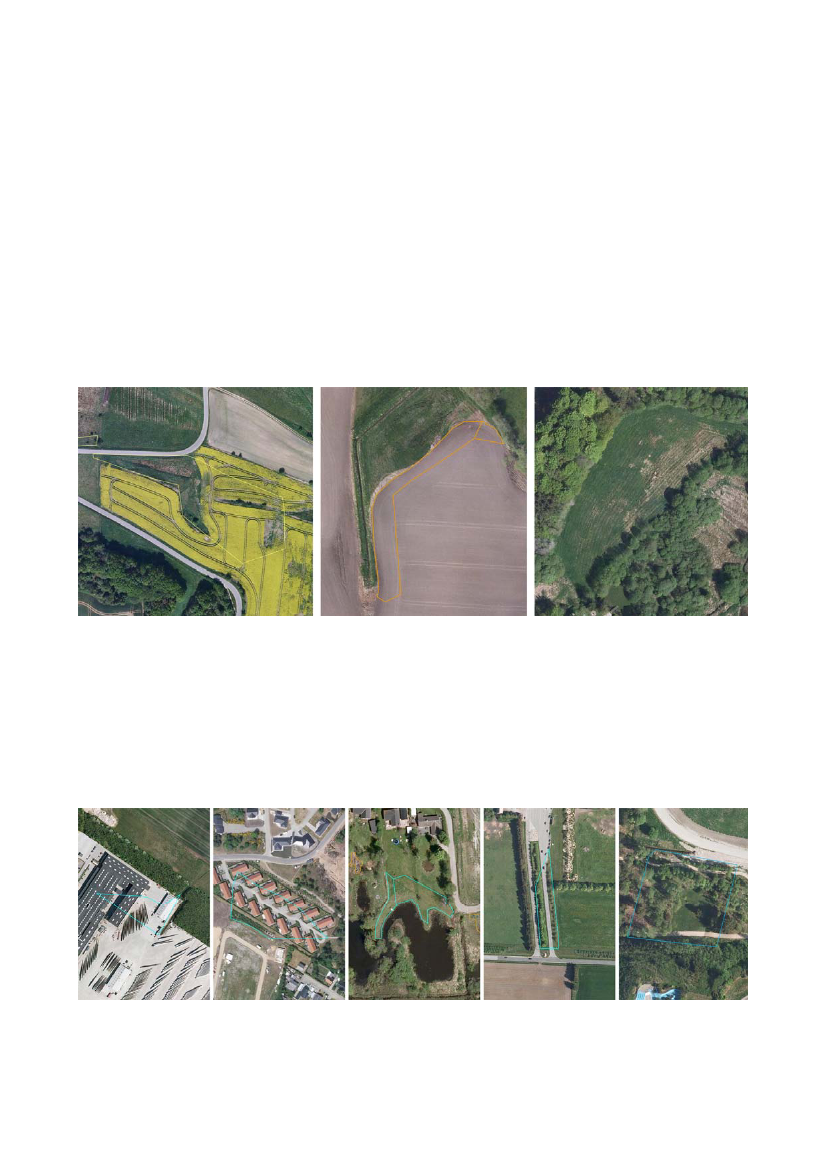 964233_0020.png