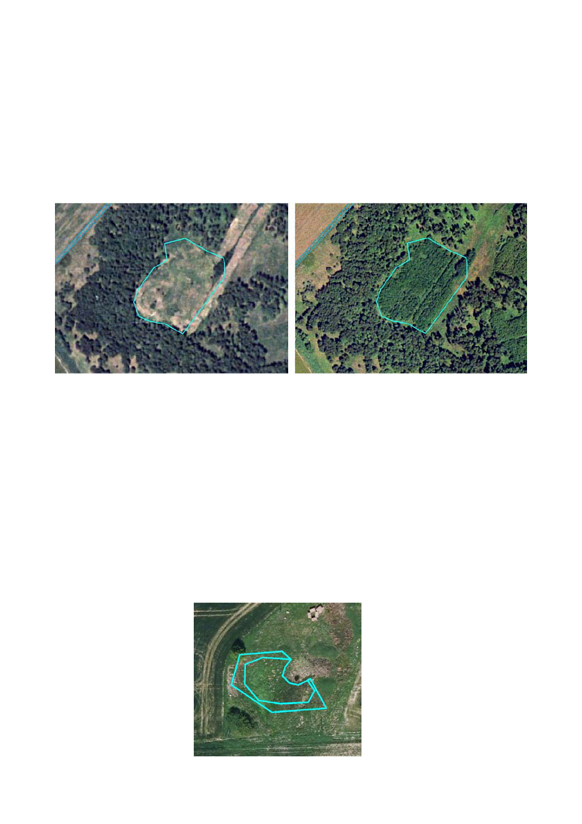 964233_0021.png