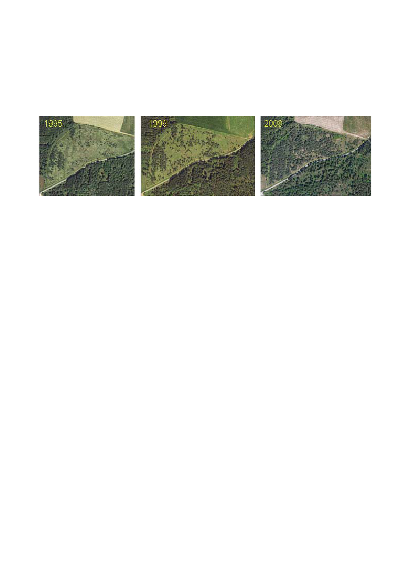 964233_0022.png