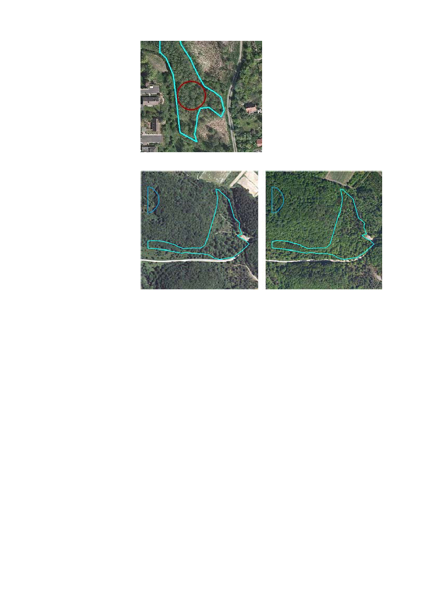 964233_0023.png