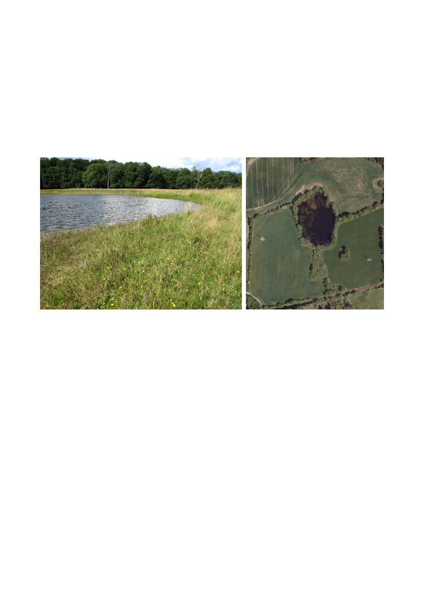 964233_0073.png