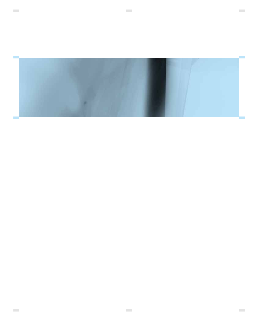 970291_0035.png