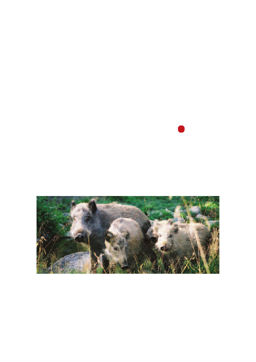 971485_0009.png