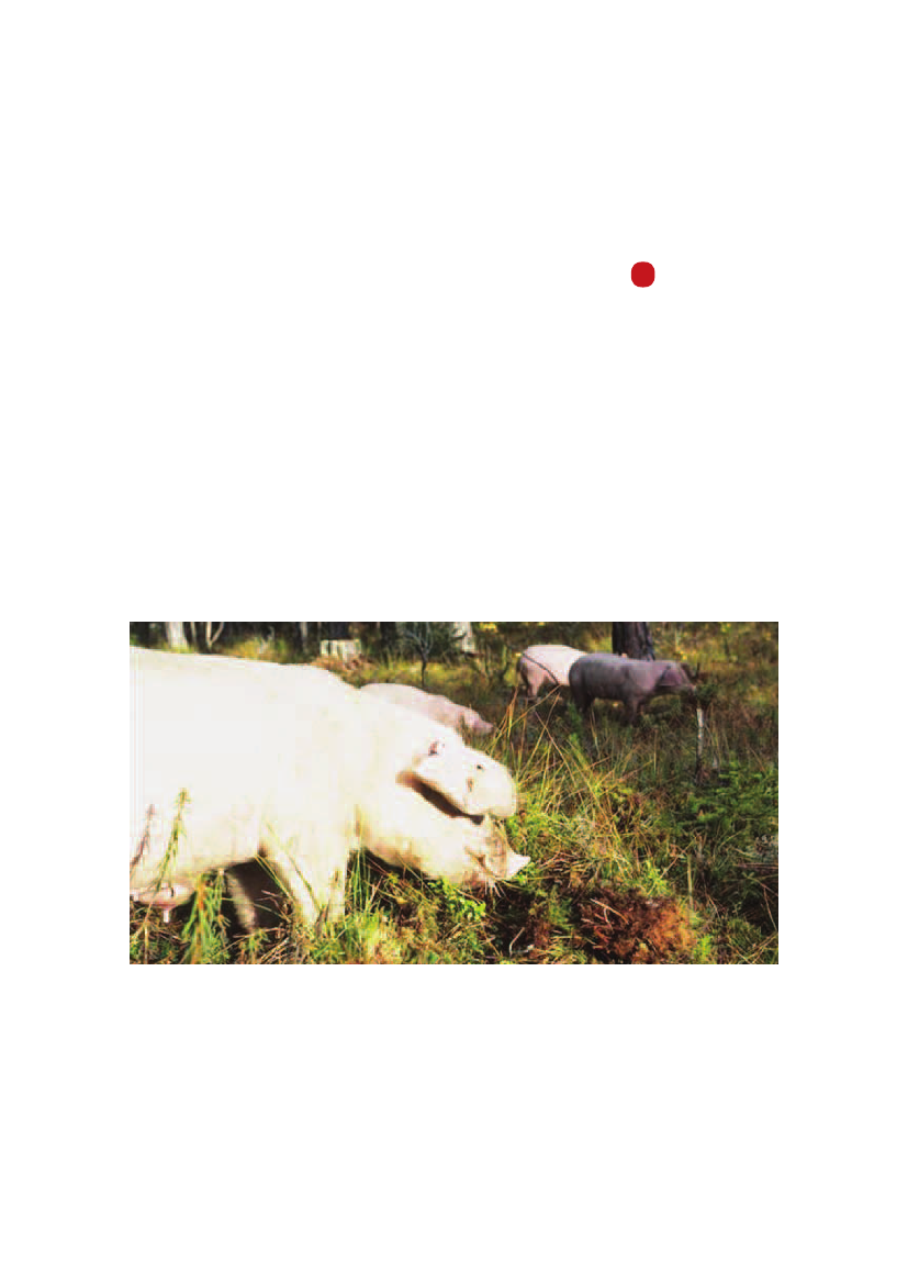 971485_0010.png