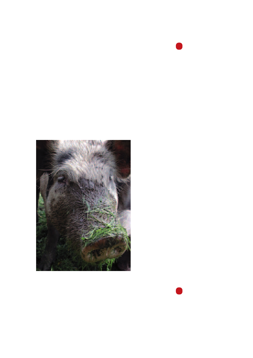 971485_0013.png