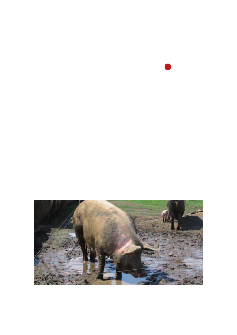 971485_0014.png