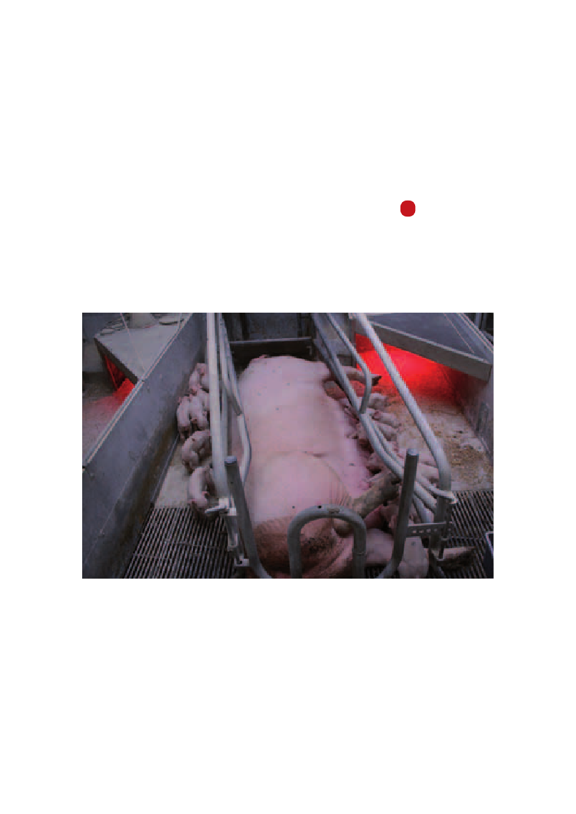 971485_0017.png