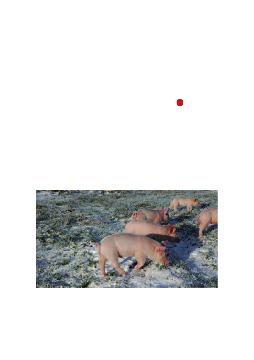 971485_0025.png