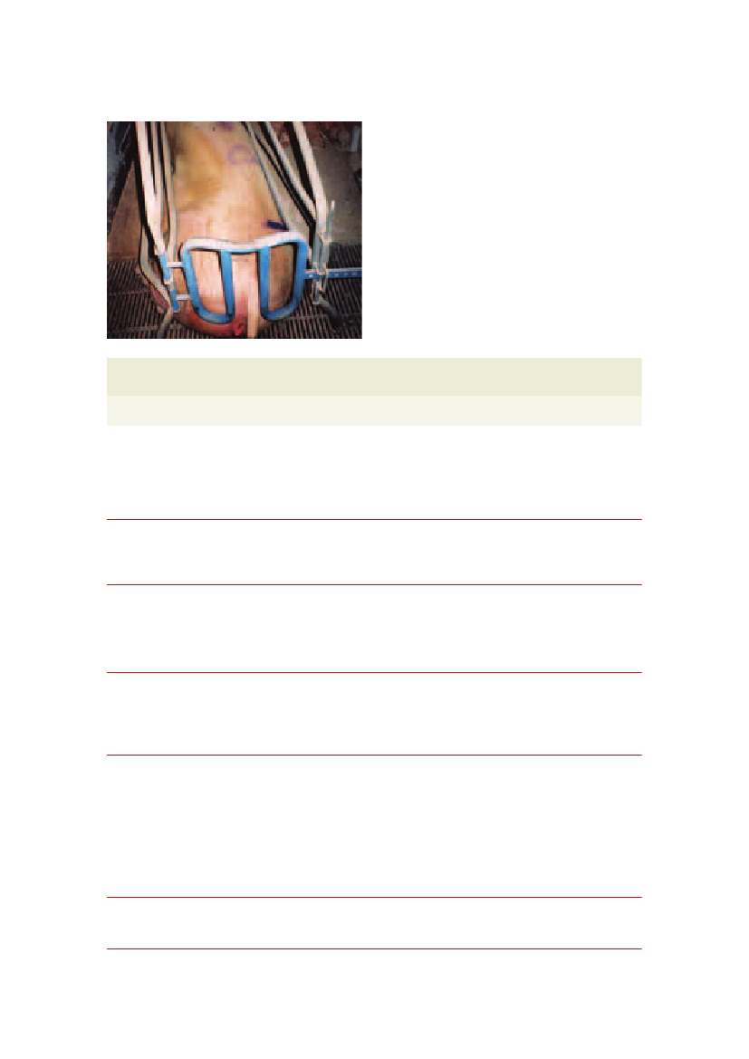 971485_0037.png