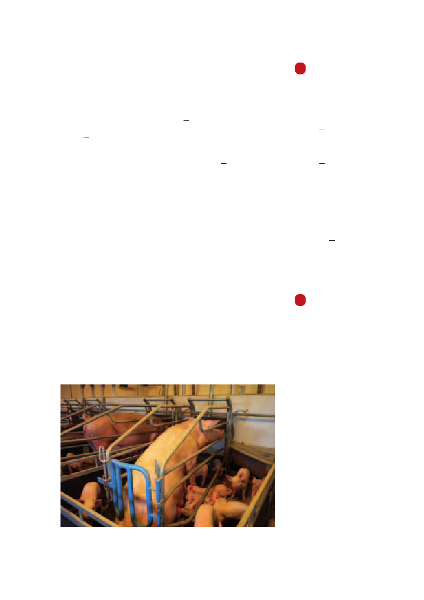 971485_0043.png