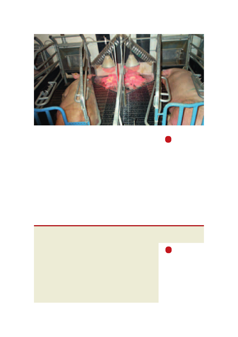 971485_0052.png