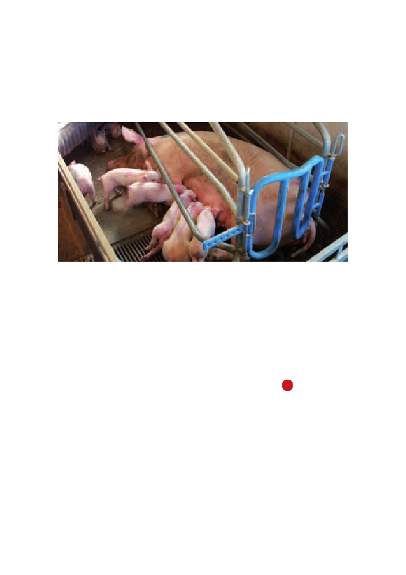971485_0054.png