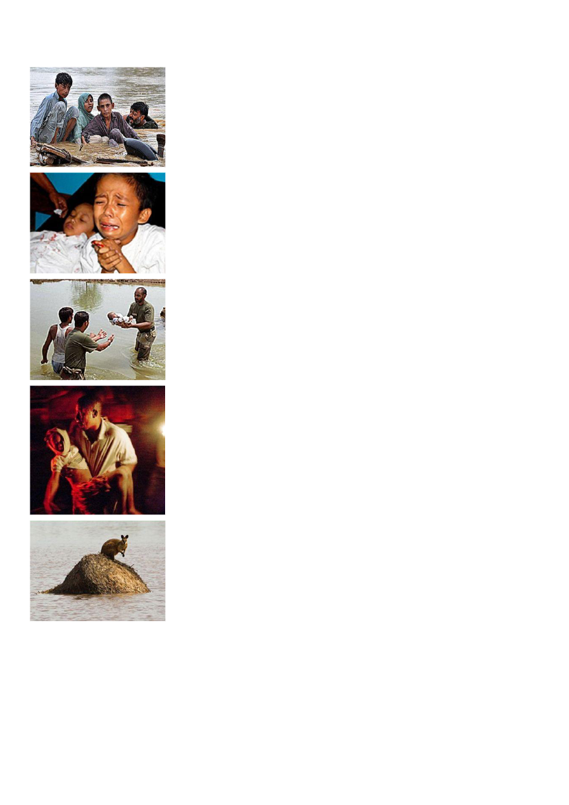 974437_0006.png