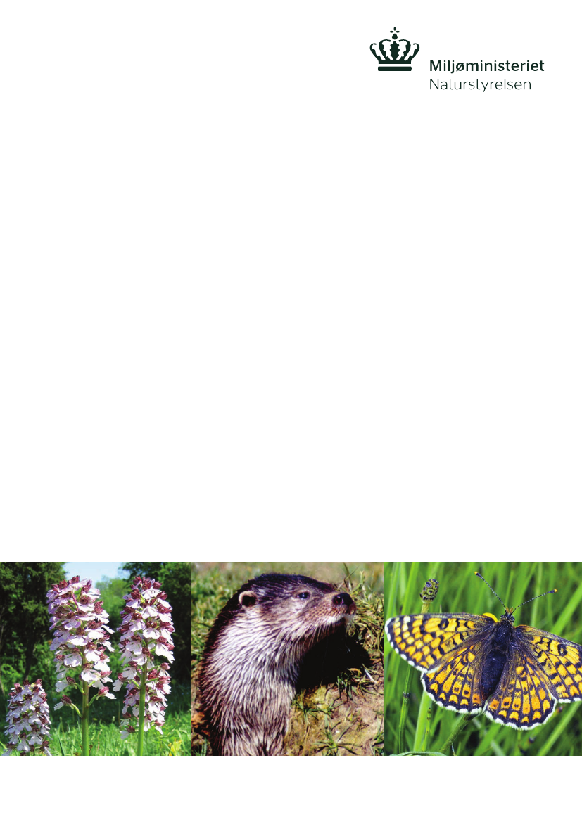 974506_0001.png