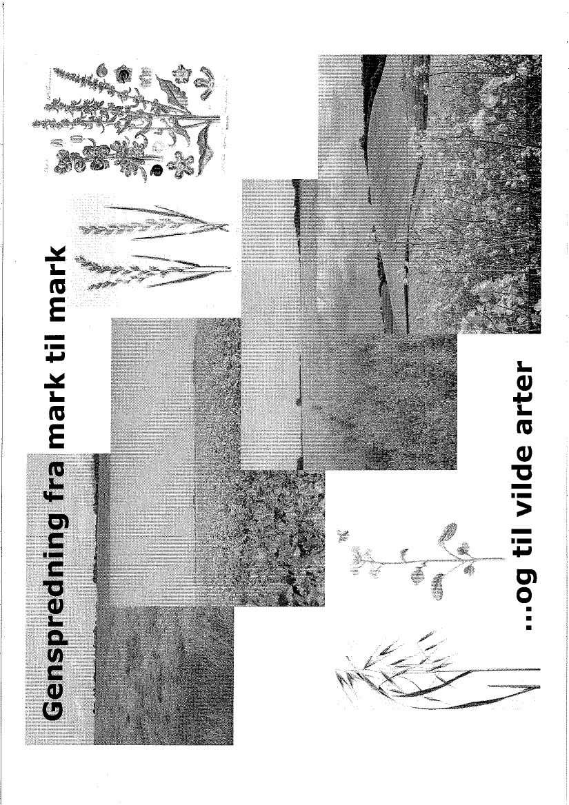 977499_0002.png