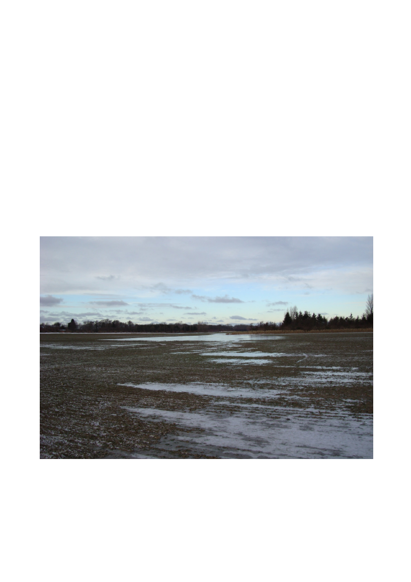978966_0031.png