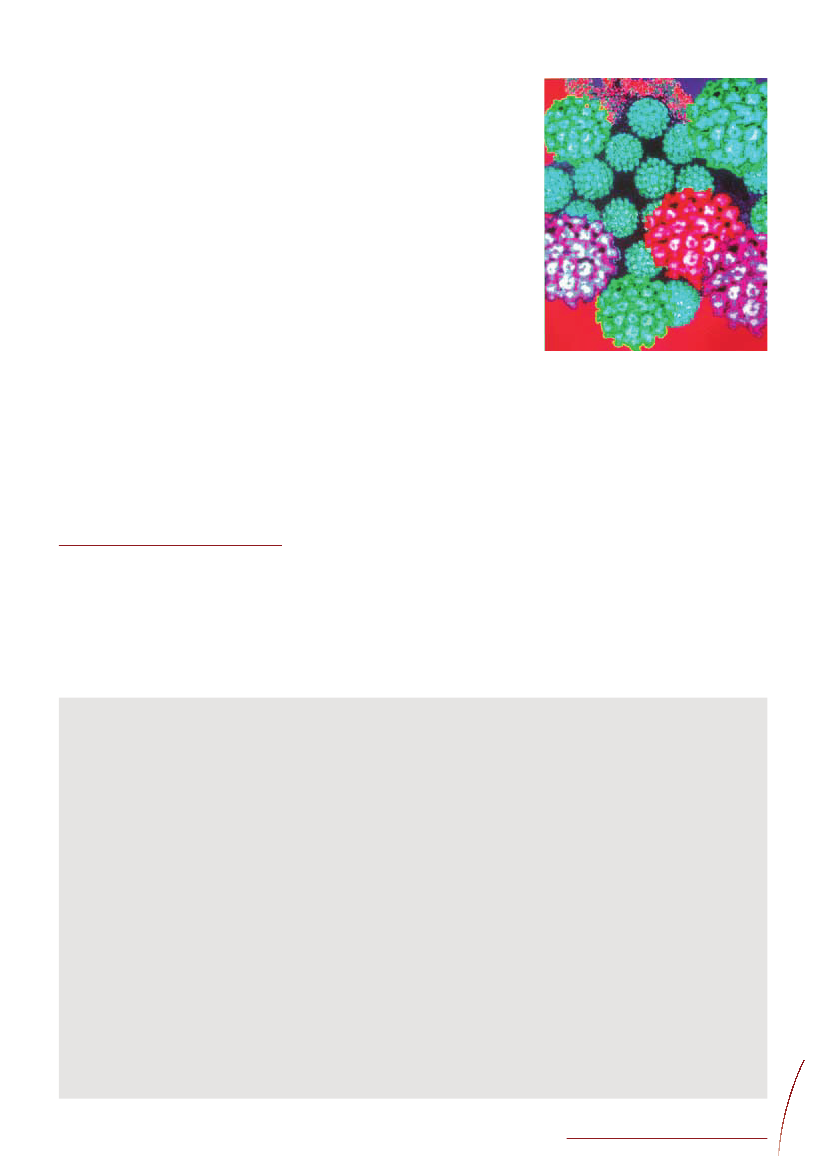 981743_0002.png