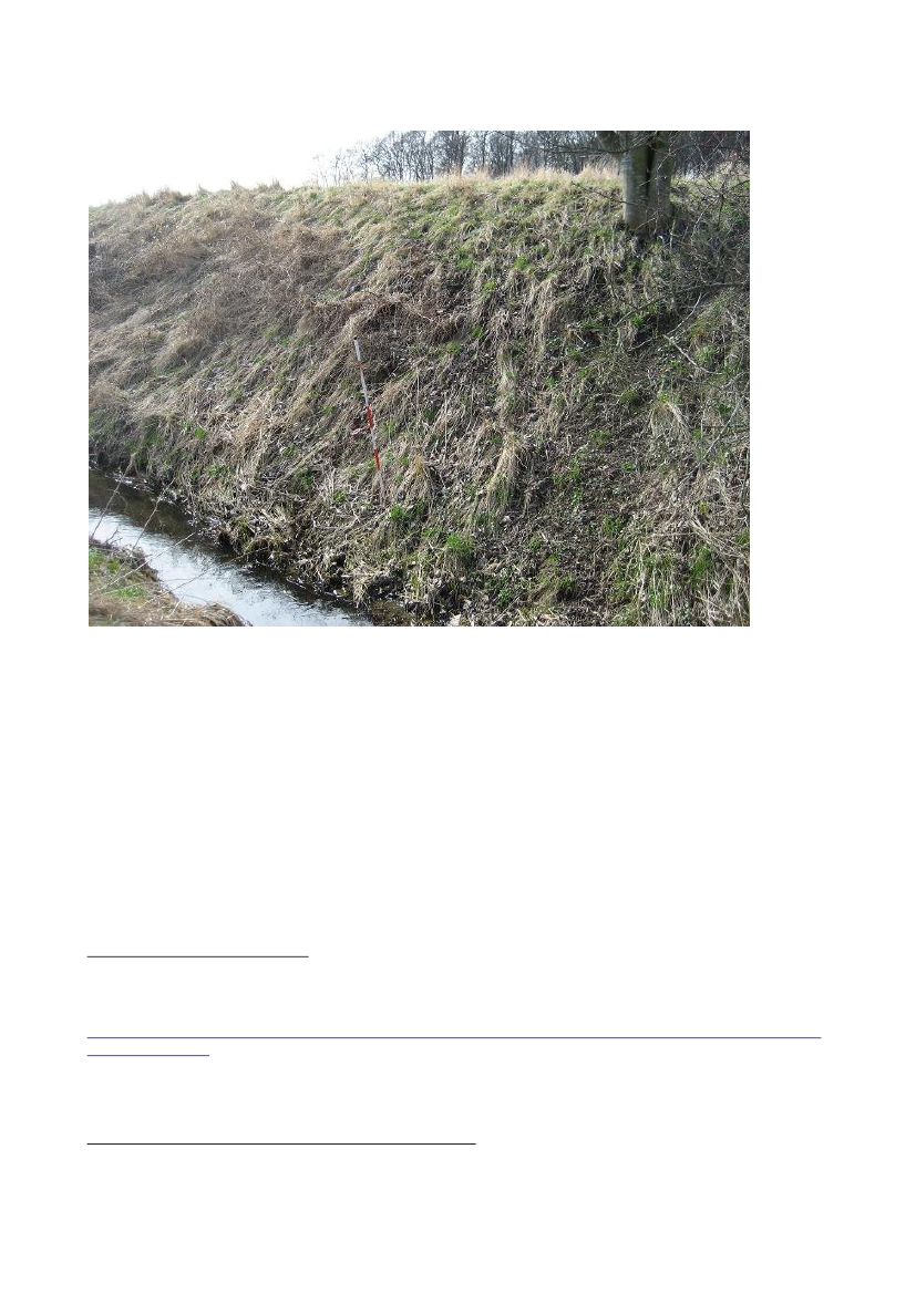 985377_0009.png
