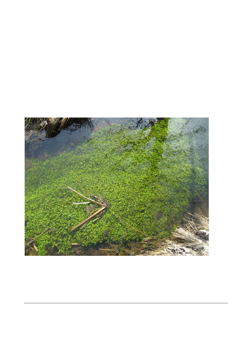 985377_0012.png