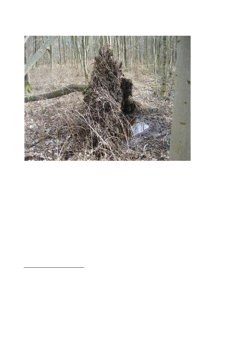 985377_0030.png